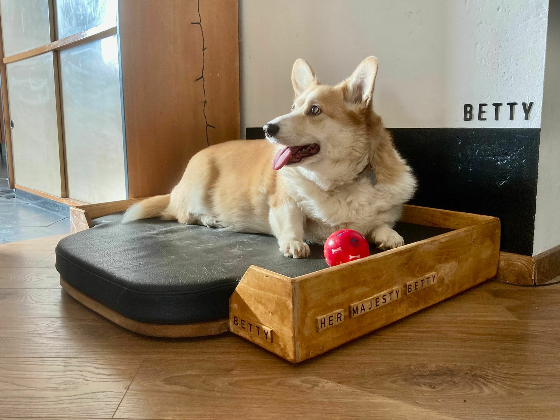 Découpe de mousse suivant gabarit pour panier de chien