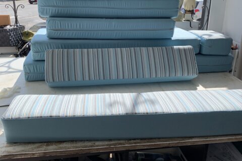 Coussins pour Van